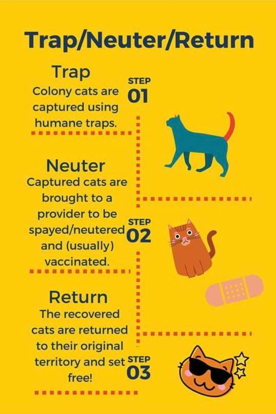 What is and why do we TNR?