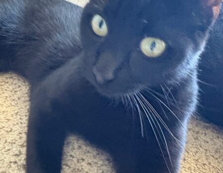 12D5B22F-5AB0-4781-95DA-51CE232C9753