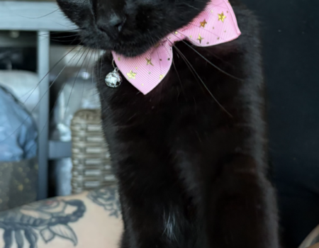 78A467A7-981C-48F1-B8C2-CAEB863053E4