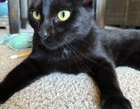 87B6D511-DEA0-4C87-A22E-112E89AA8807