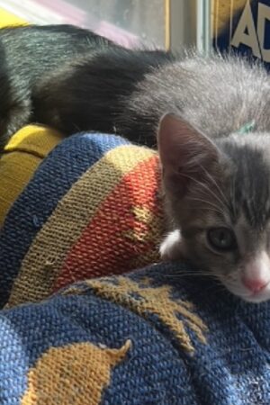 9AE670ED-F1BE-4C65-ACF8-14564C0C4501