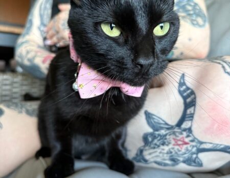 A6BF10BE-A625-4AB0-979A-71E423C7D7F6