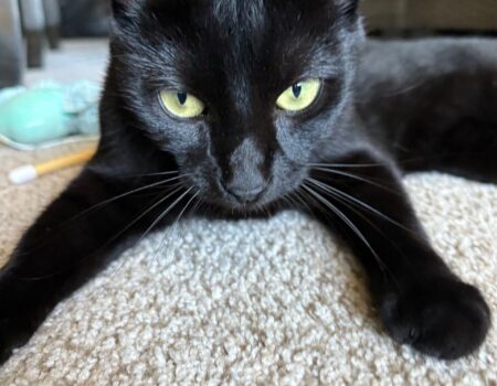 E8125BFC-7CD7-427E-A1C5-41C5586082CE