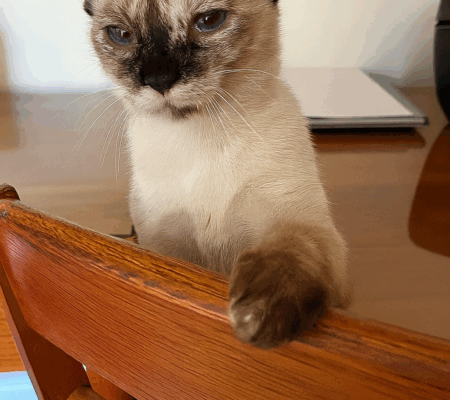 ChatGPT Image Nov 15, 2025, 02_04_07 PM