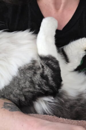 image000001