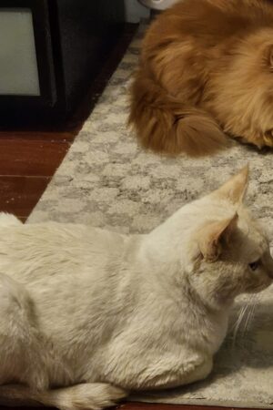 5570666139722421356 5570666139722421356