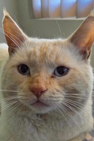 Screenshot Screenshot