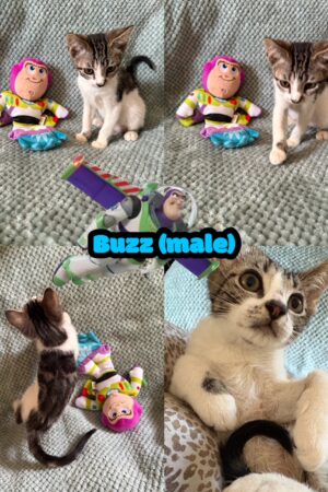 created by photogrid created by photogrid