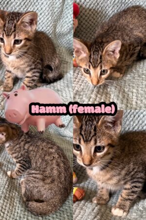 created by photogrid created by photogrid