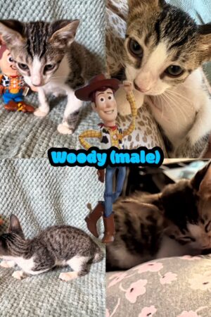 created by photogrid created by photogrid