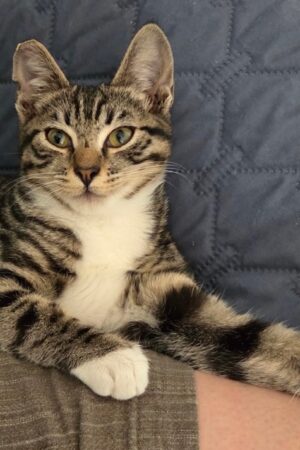 IMG_8440