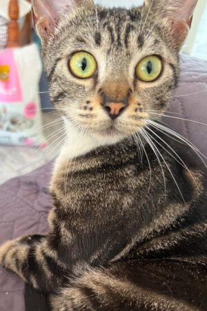 IMG_8489 IMG_8489