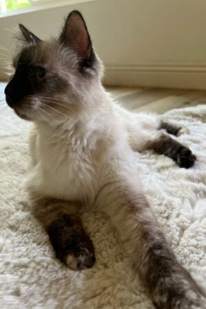 IMG_9442 IMG_9442