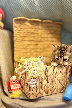 IMG_1409